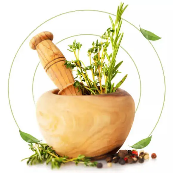 About Vedam Ayurveda Hospital in Bangalore